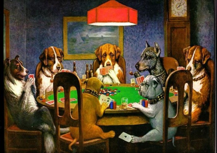 Dogs Canines Poker Cards Humo